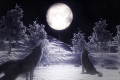 Howling At The Moon.  A  digital artwork by digital artist Ferretmania