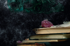 Iseeyou-FerretmaniaArt